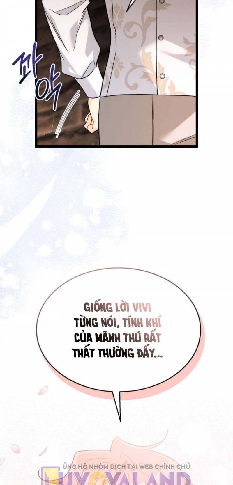 Mối Quan Hệ Cộng Sinh Giữa Báo Đen Và Thỏ Trắng - Chap 157 - Trang 40