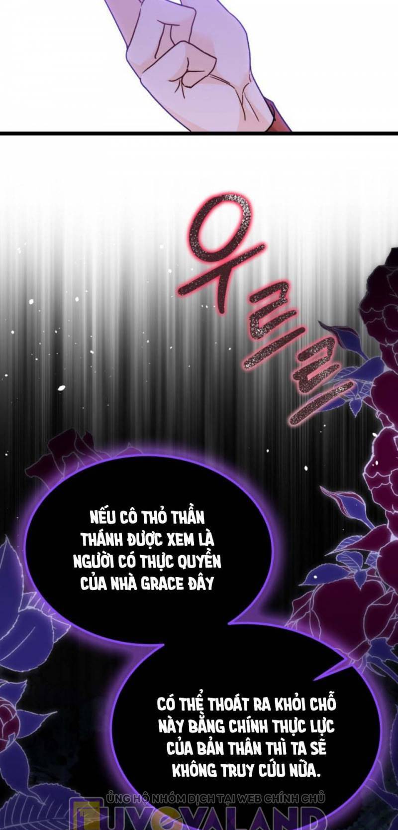 Mối Quan Hệ Cộng Sinh Giữa Báo Đen Và Thỏ Trắng - Chap 157 - Trang 61