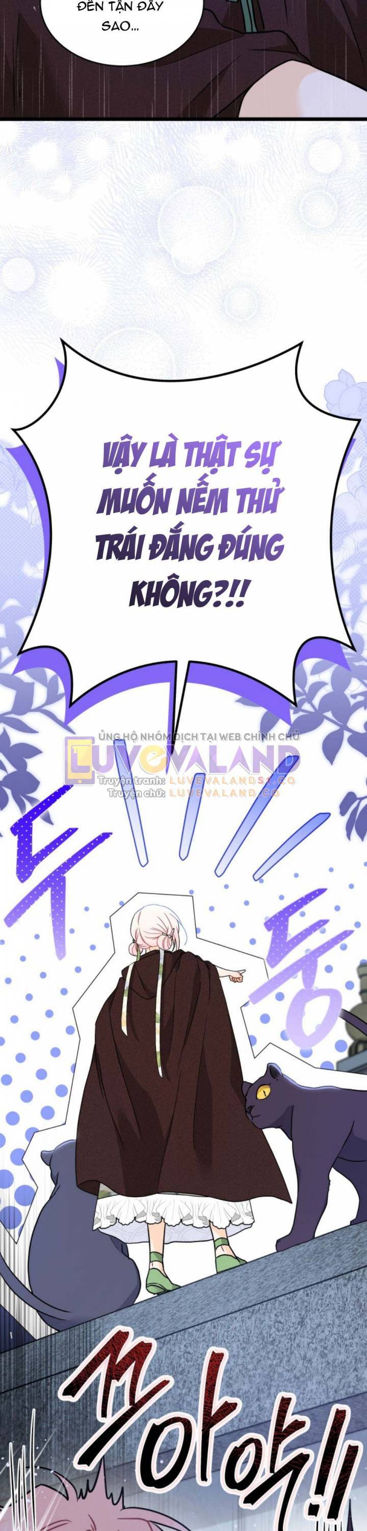 Mối Quan Hệ Cộng Sinh Giữa Báo Đen Và Thỏ Trắng - Chap 158 - Trang 20