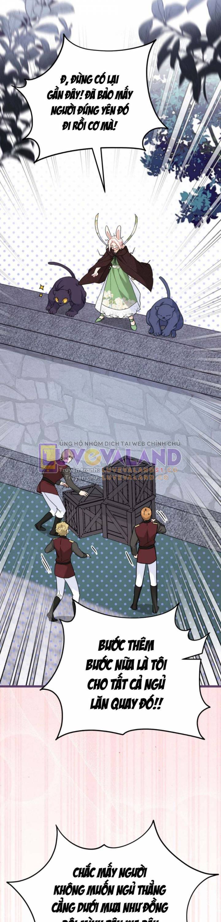Mối Quan Hệ Cộng Sinh Giữa Báo Đen Và Thỏ Trắng - Chap 158 - Trang 22