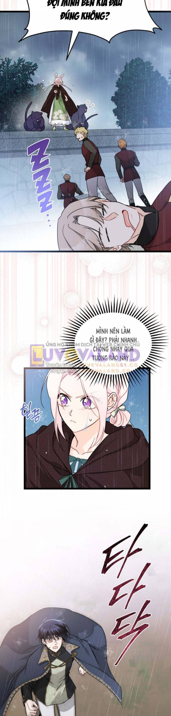 Mối Quan Hệ Cộng Sinh Giữa Báo Đen Và Thỏ Trắng - Chap 158 - Trang 23