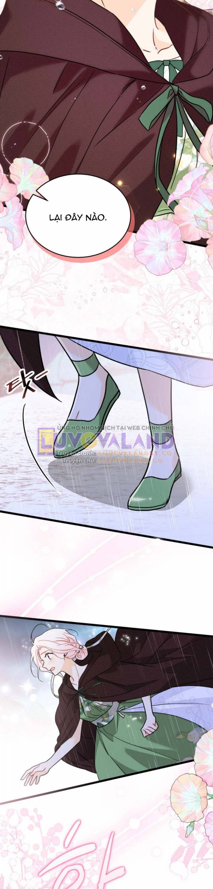 Mối Quan Hệ Cộng Sinh Giữa Báo Đen Và Thỏ Trắng - Chap 158 - Trang 29