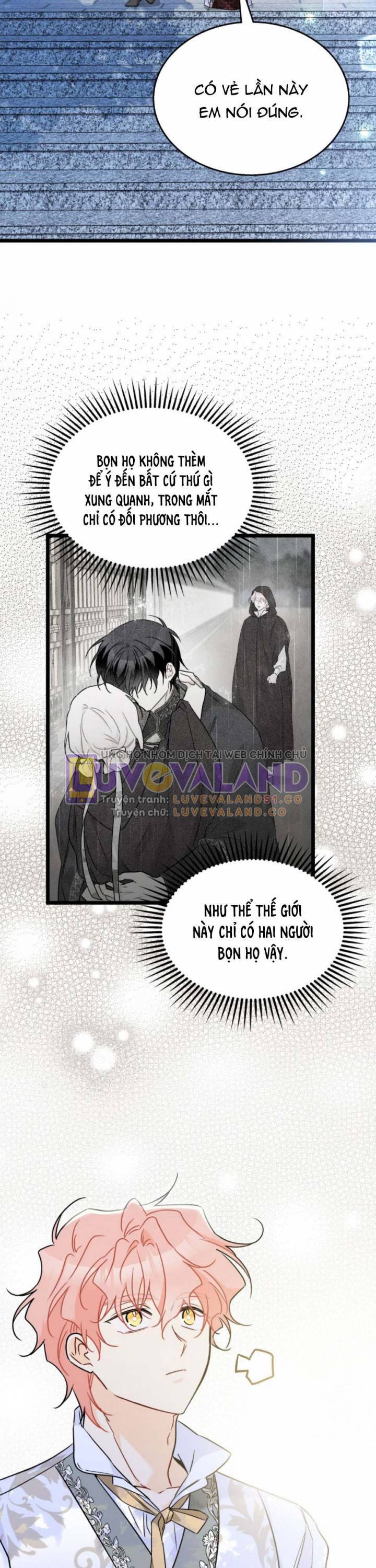 Mối Quan Hệ Cộng Sinh Giữa Báo Đen Và Thỏ Trắng - Chap 158 - Trang 36