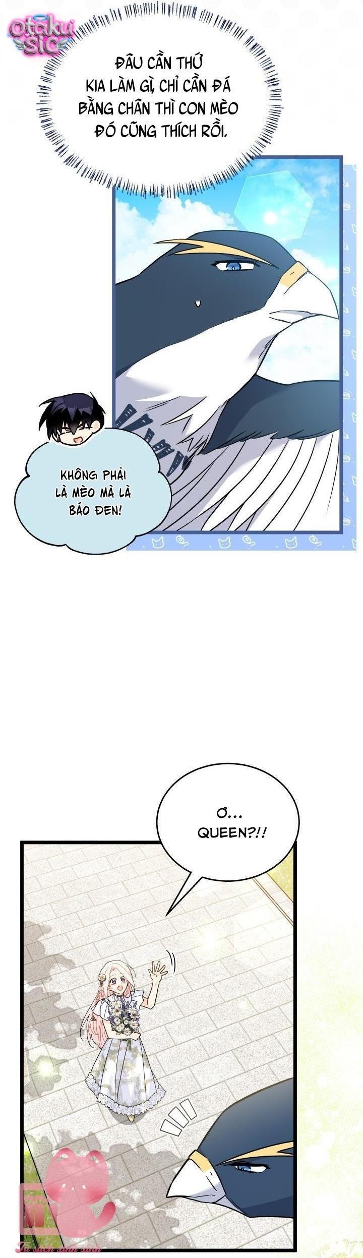 Mối Quan Hệ Cộng Sinh Giữa Báo Đen Và Thỏ Trắng - Chap 159 - Trang 48