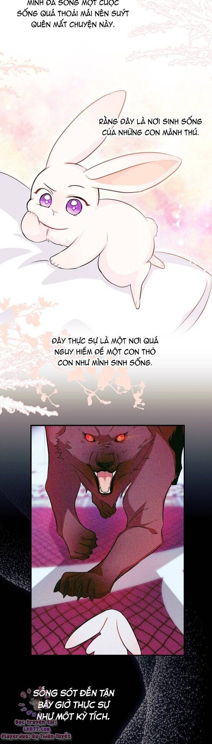 Mối Quan Hệ Cộng Sinh Giữa Báo Đen Và Thỏ Trắng - Chap 16 - Trang 21