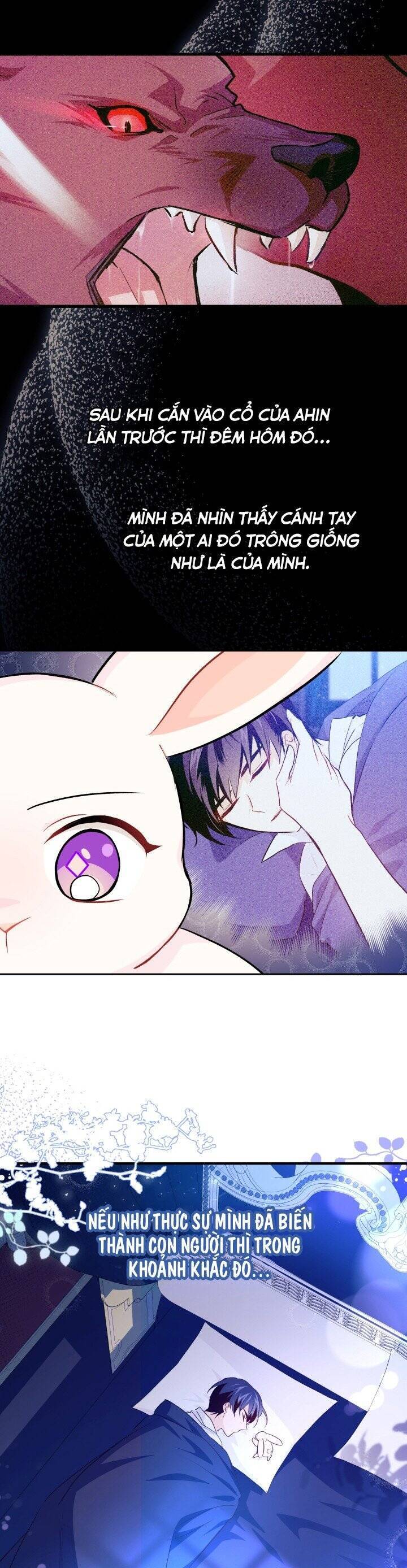 Mối Quan Hệ Cộng Sinh Giữa Báo Đen Và Thỏ Trắng - Chap 16 - Trang 22