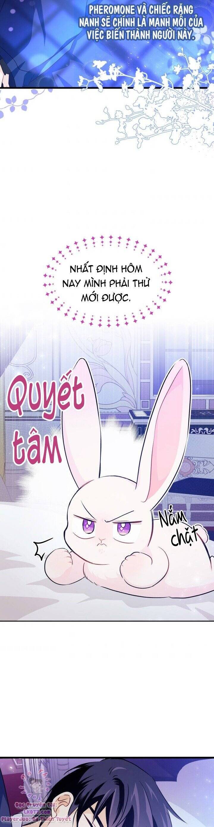 Mối Quan Hệ Cộng Sinh Giữa Báo Đen Và Thỏ Trắng - Chap 16 - Trang 23