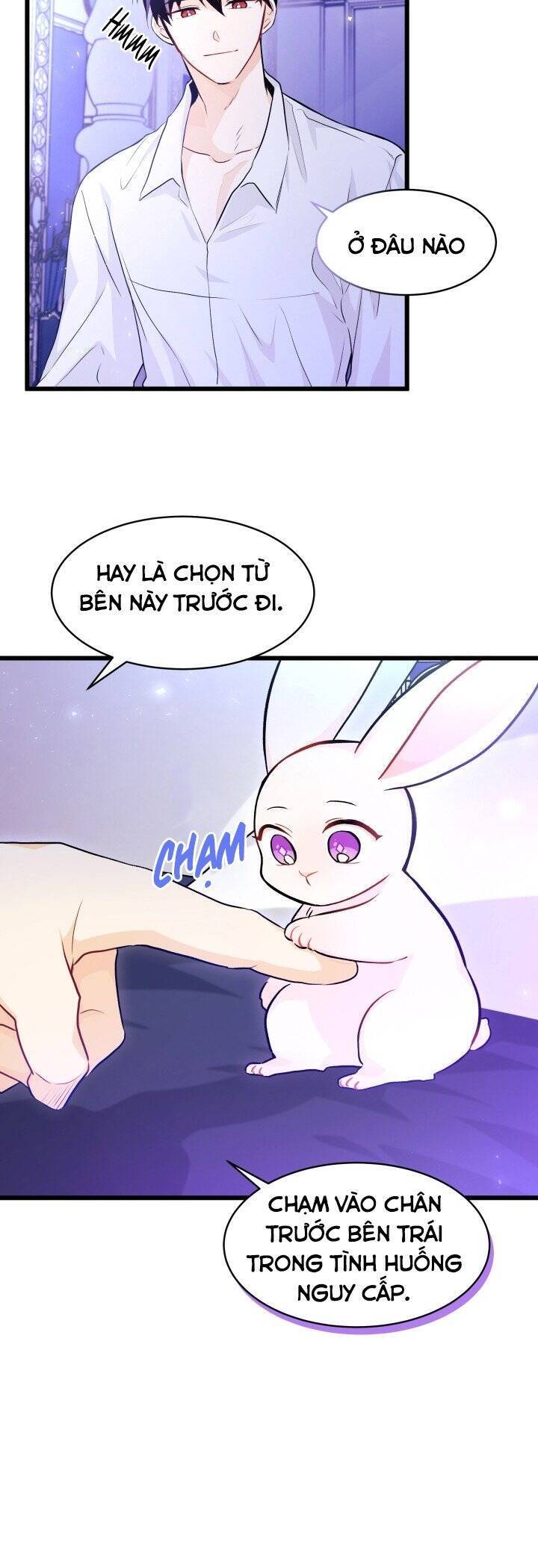 Mối Quan Hệ Cộng Sinh Giữa Báo Đen Và Thỏ Trắng - Chap 16 - Trang 9