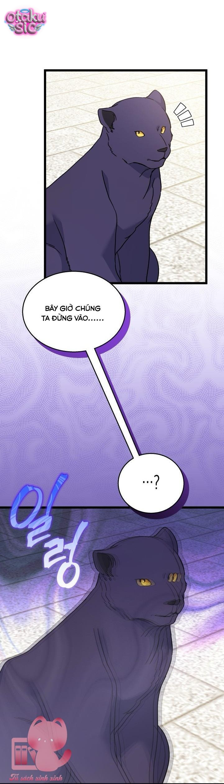 Mối Quan Hệ Cộng Sinh Giữa Báo Đen Và Thỏ Trắng - Chap 160 - Trang 12