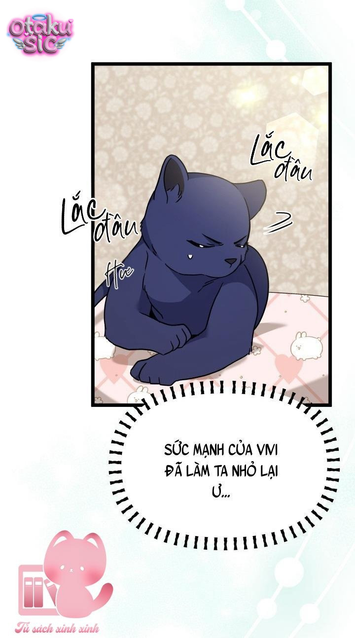 Mối Quan Hệ Cộng Sinh Giữa Báo Đen Và Thỏ Trắng - Chap 160 - Trang 47