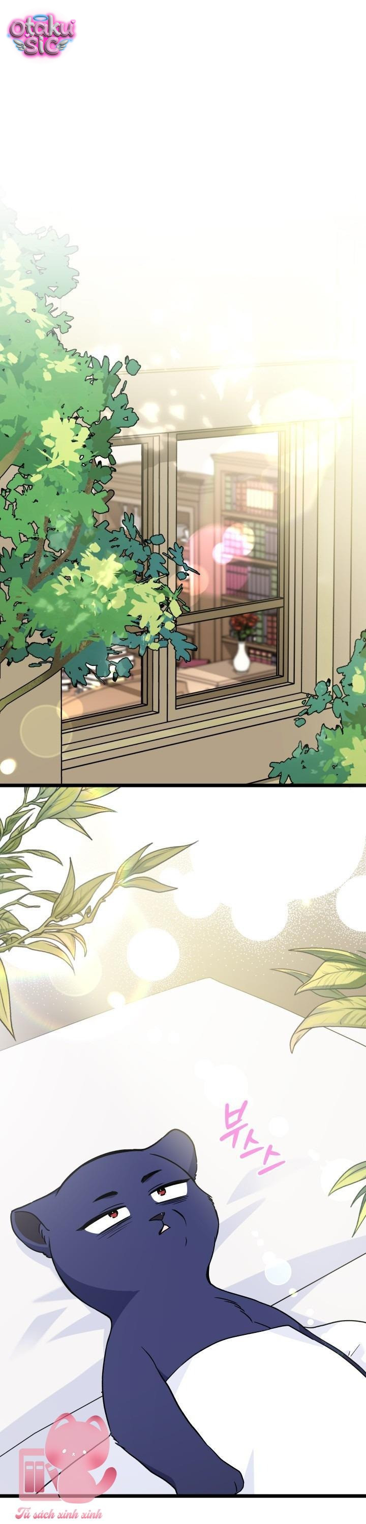 Mối Quan Hệ Cộng Sinh Giữa Báo Đen Và Thỏ Trắng - Chap 162 - Trang 1