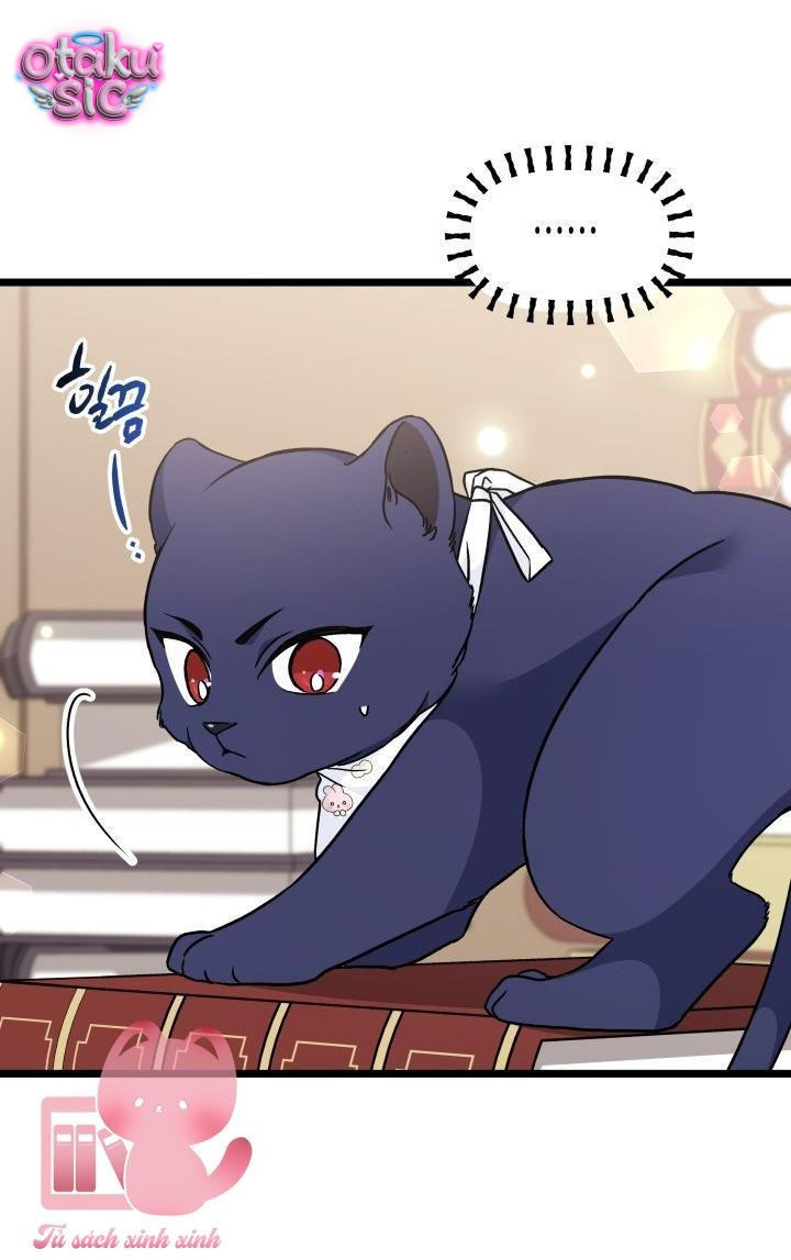 Mối Quan Hệ Cộng Sinh Giữa Báo Đen Và Thỏ Trắng - Chap 162 - Trang 17