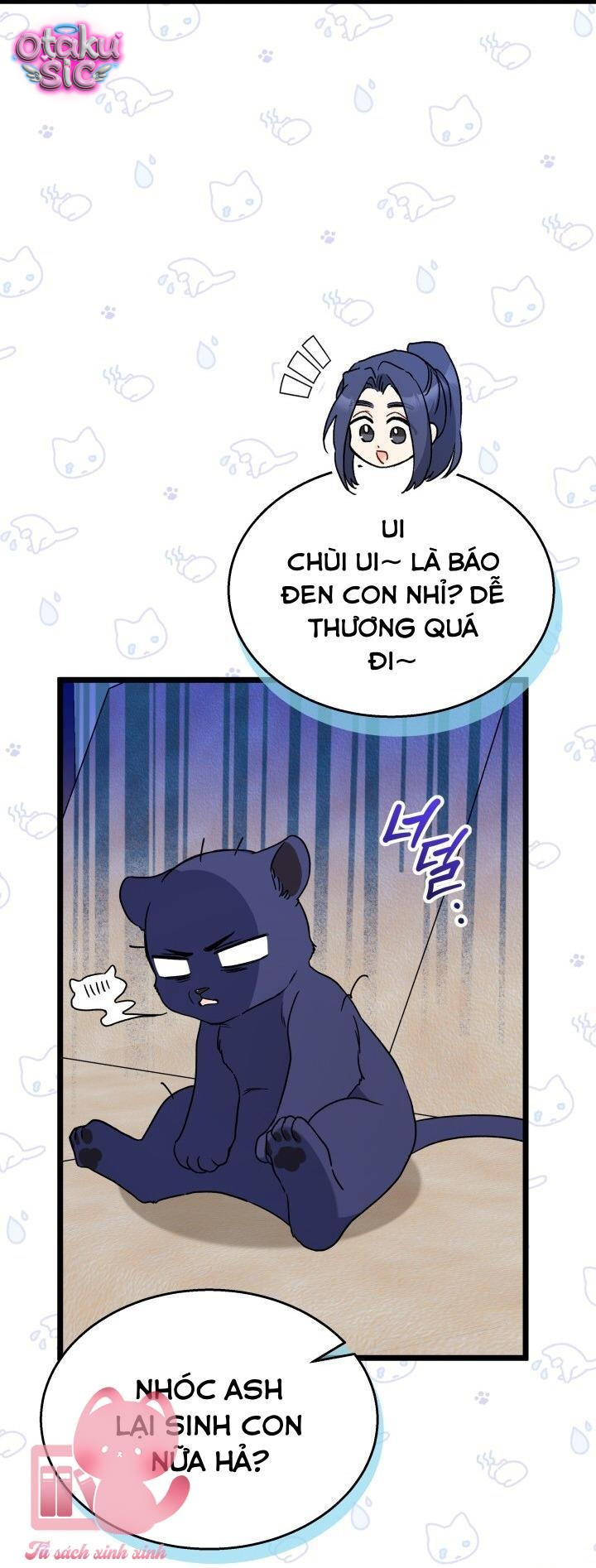 Mối Quan Hệ Cộng Sinh Giữa Báo Đen Và Thỏ Trắng - Chap 162 - Trang 28