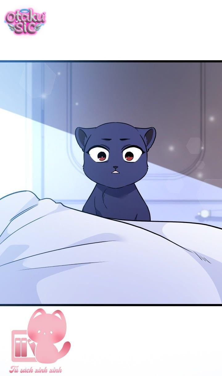 Mối Quan Hệ Cộng Sinh Giữa Báo Đen Và Thỏ Trắng - Chap 164 - Trang 17