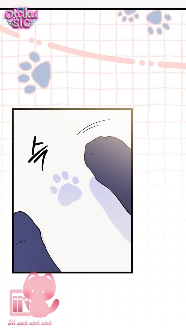 Mối Quan Hệ Cộng Sinh Giữa Báo Đen Và Thỏ Trắng - Chap 164 - Trang 29