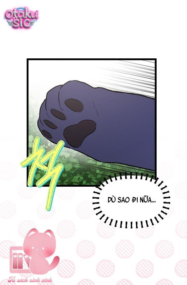 Mối Quan Hệ Cộng Sinh Giữa Báo Đen Và Thỏ Trắng - Chap 164 - Trang 38