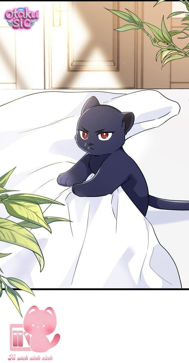 Mối Quan Hệ Cộng Sinh Giữa Báo Đen Và Thỏ Trắng - Chap 165 - Trang 3