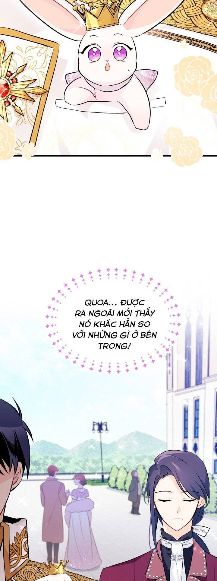Mối Quan Hệ Cộng Sinh Giữa Báo Đen Và Thỏ Trắng - Chap 17 - Trang 30