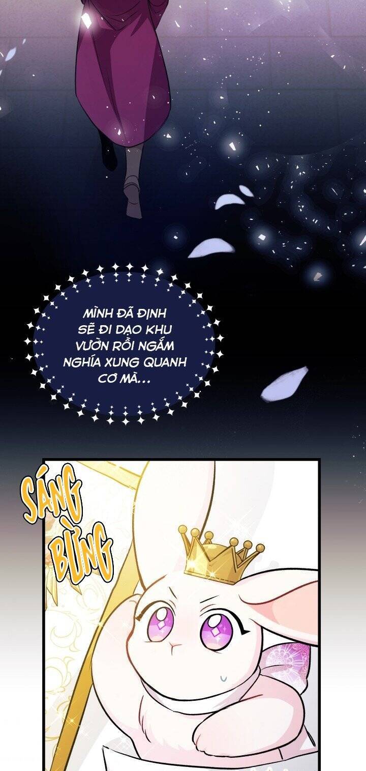 Mối Quan Hệ Cộng Sinh Giữa Báo Đen Và Thỏ Trắng - Chap 17 - Trang 37
