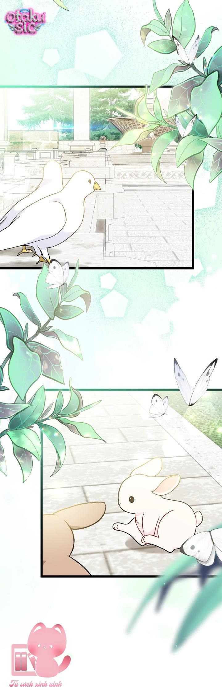 Mối Quan Hệ Cộng Sinh Giữa Báo Đen Và Thỏ Trắng - Chap 171 - Trang 2