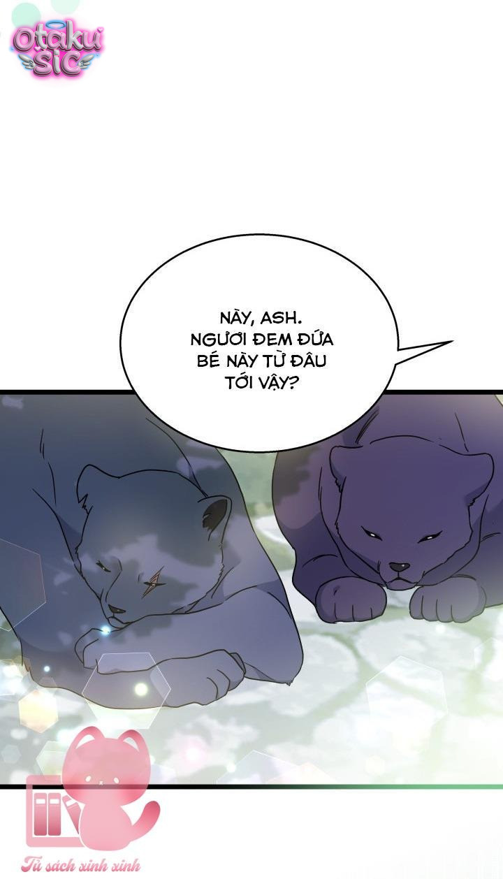 Mối Quan Hệ Cộng Sinh Giữa Báo Đen Và Thỏ Trắng - Chap 171 - Trang 19