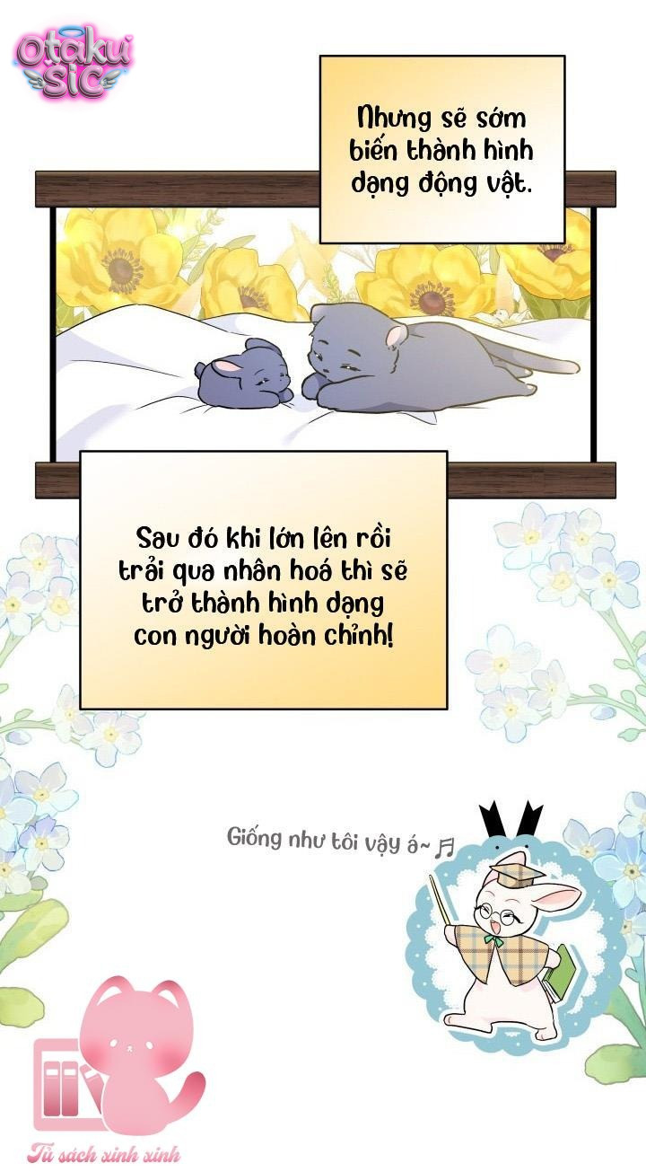 Mối Quan Hệ Cộng Sinh Giữa Báo Đen Và Thỏ Trắng - Chap 175 - Trang 64