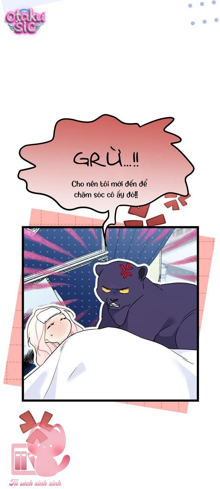 Mối Quan Hệ Cộng Sinh Giữa Báo Đen Và Thỏ Trắng - Chap 176 - Trang 47