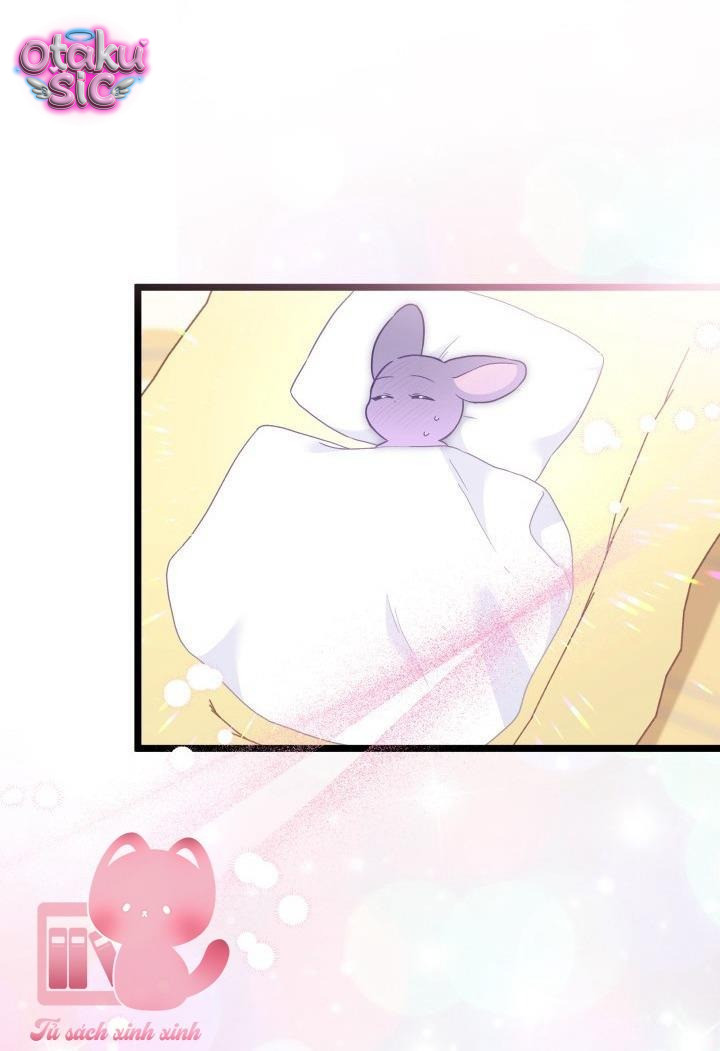 Mối Quan Hệ Cộng Sinh Giữa Báo Đen Và Thỏ Trắng - Chap 177 - Trang 15