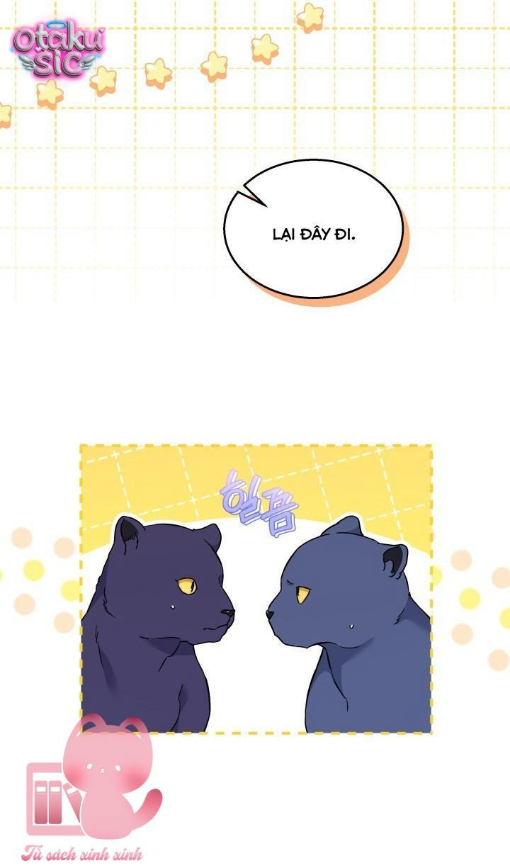 Mối Quan Hệ Cộng Sinh Giữa Báo Đen Và Thỏ Trắng - Chap 177 - Trang 43