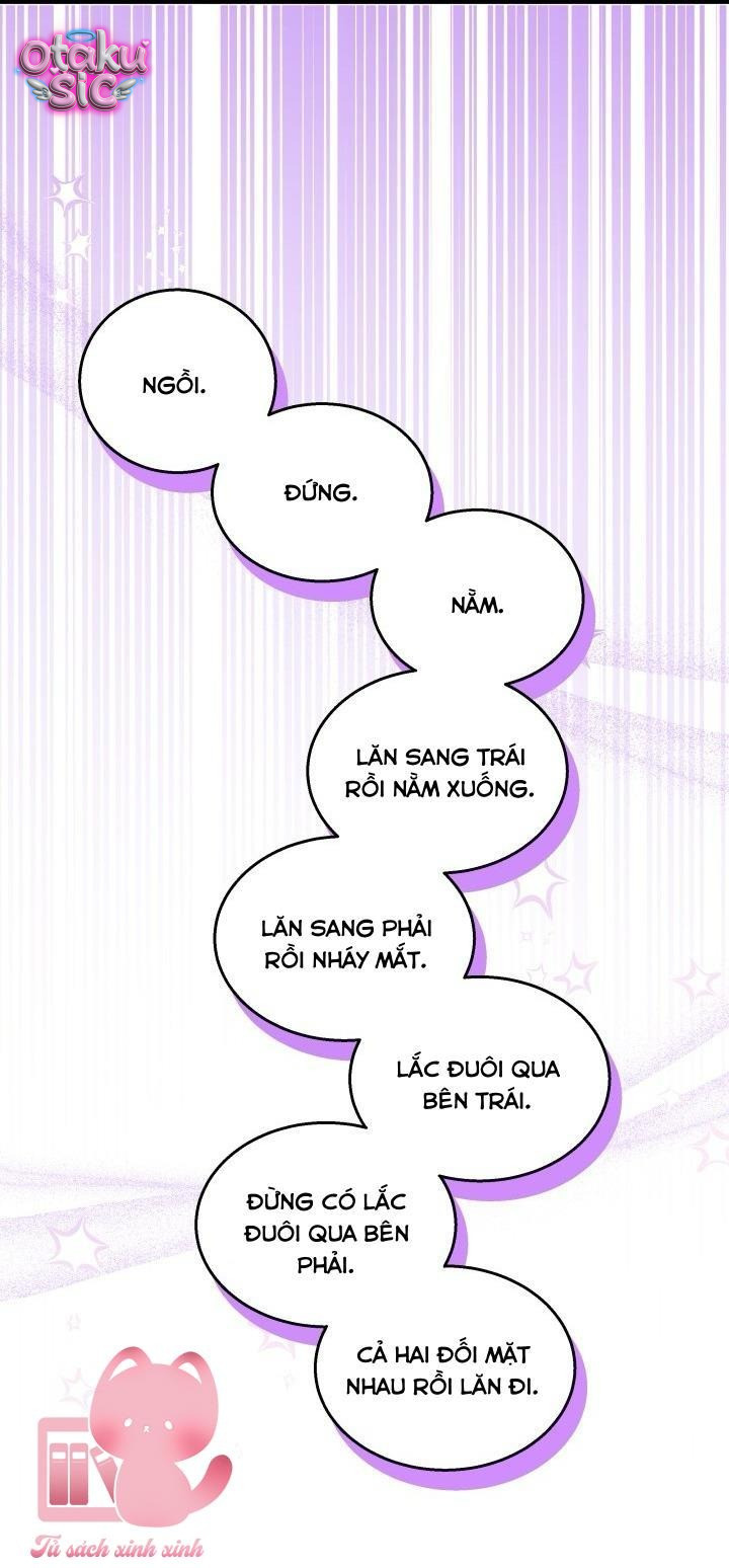 Mối Quan Hệ Cộng Sinh Giữa Báo Đen Và Thỏ Trắng - Chap 177 - Trang 48