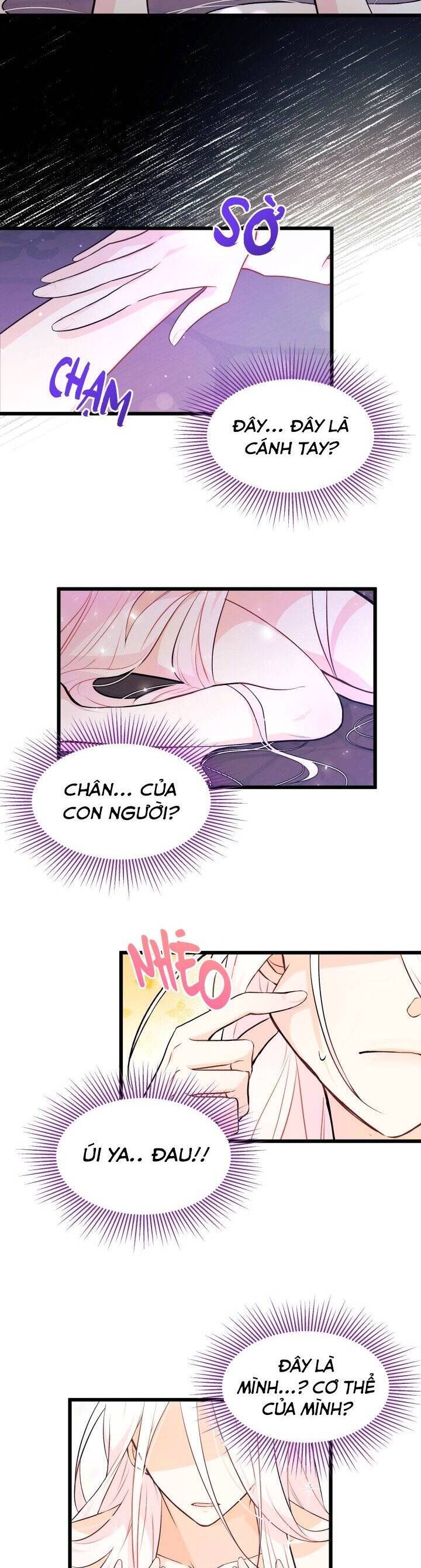 Mối Quan Hệ Cộng Sinh Giữa Báo Đen Và Thỏ Trắng - Chap 19 - Trang 15