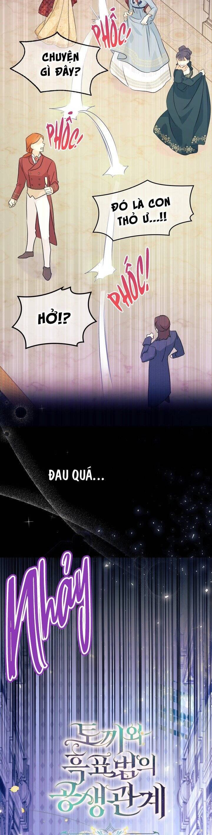 Mối Quan Hệ Cộng Sinh Giữa Báo Đen Và Thỏ Trắng - Chap 19 - Trang 5