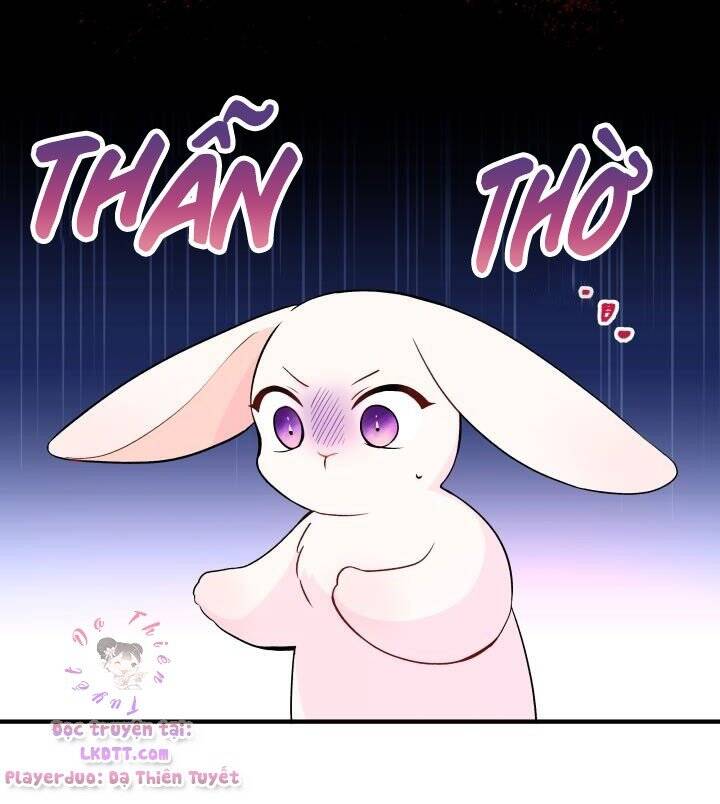 Mối Quan Hệ Cộng Sinh Giữa Báo Đen Và Thỏ Trắng - Chap 2 - Trang 11
