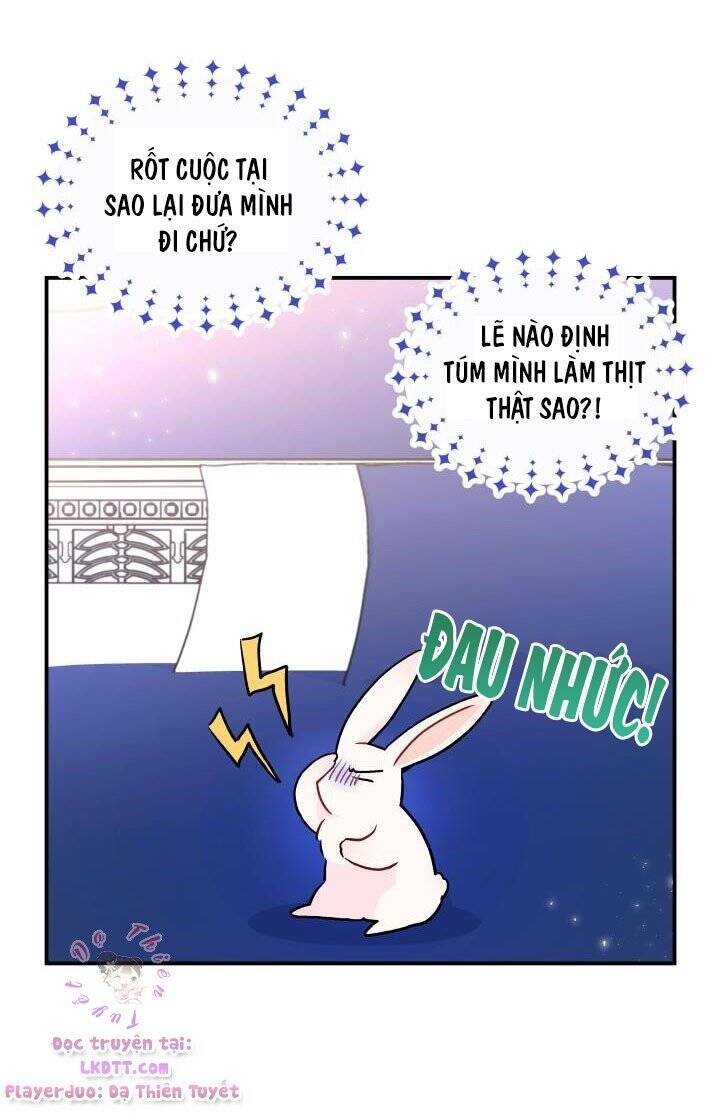 Mối Quan Hệ Cộng Sinh Giữa Báo Đen Và Thỏ Trắng - Chap 2 - Trang 12