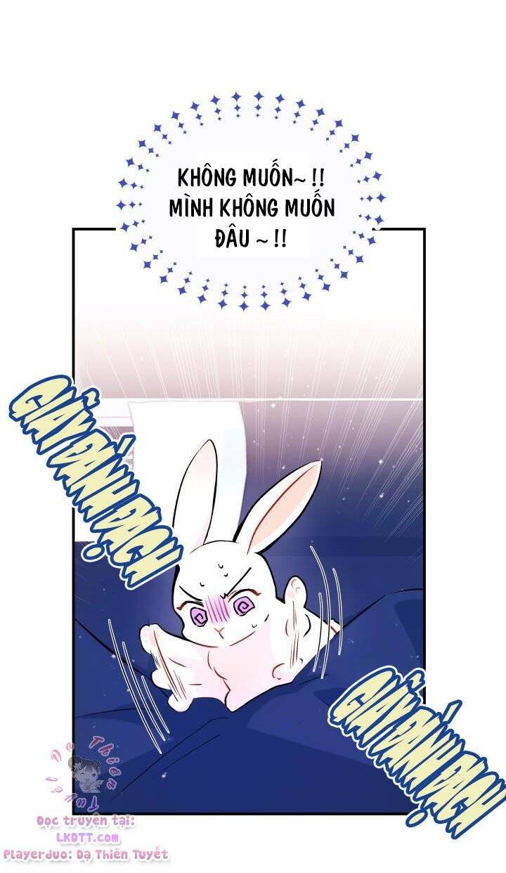 Mối Quan Hệ Cộng Sinh Giữa Báo Đen Và Thỏ Trắng - Chap 2 - Trang 14