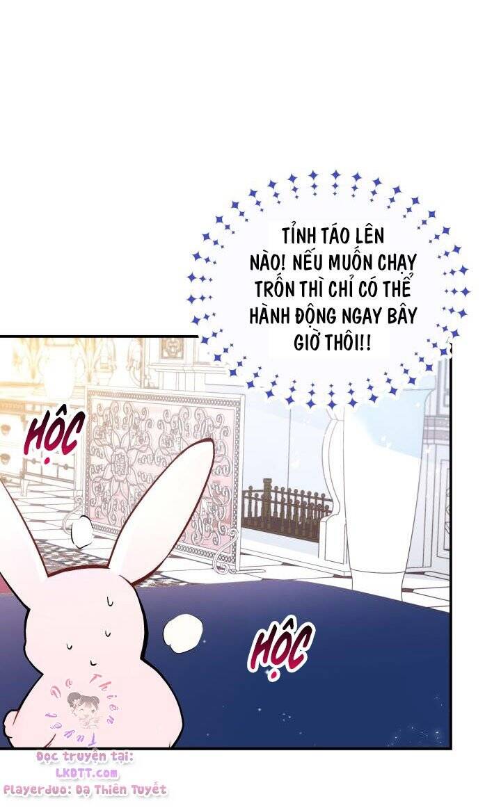 Mối Quan Hệ Cộng Sinh Giữa Báo Đen Và Thỏ Trắng - Chap 2 - Trang 15