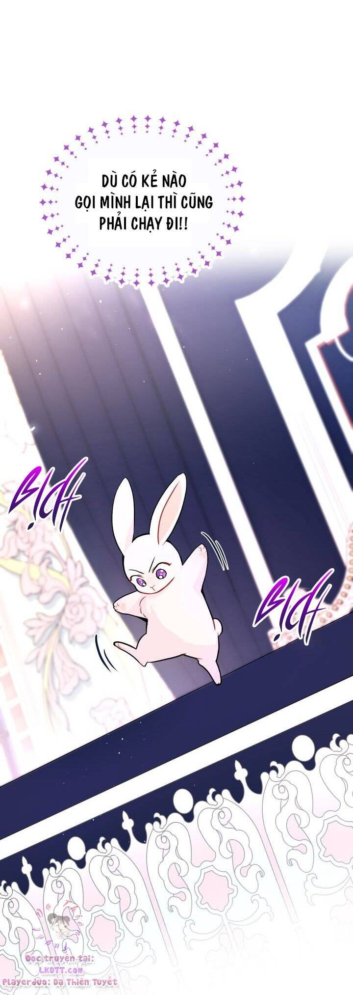 Mối Quan Hệ Cộng Sinh Giữa Báo Đen Và Thỏ Trắng - Chap 2 - Trang 16