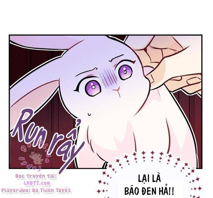 Mối Quan Hệ Cộng Sinh Giữa Báo Đen Và Thỏ Trắng - Chap 2 - Trang 23