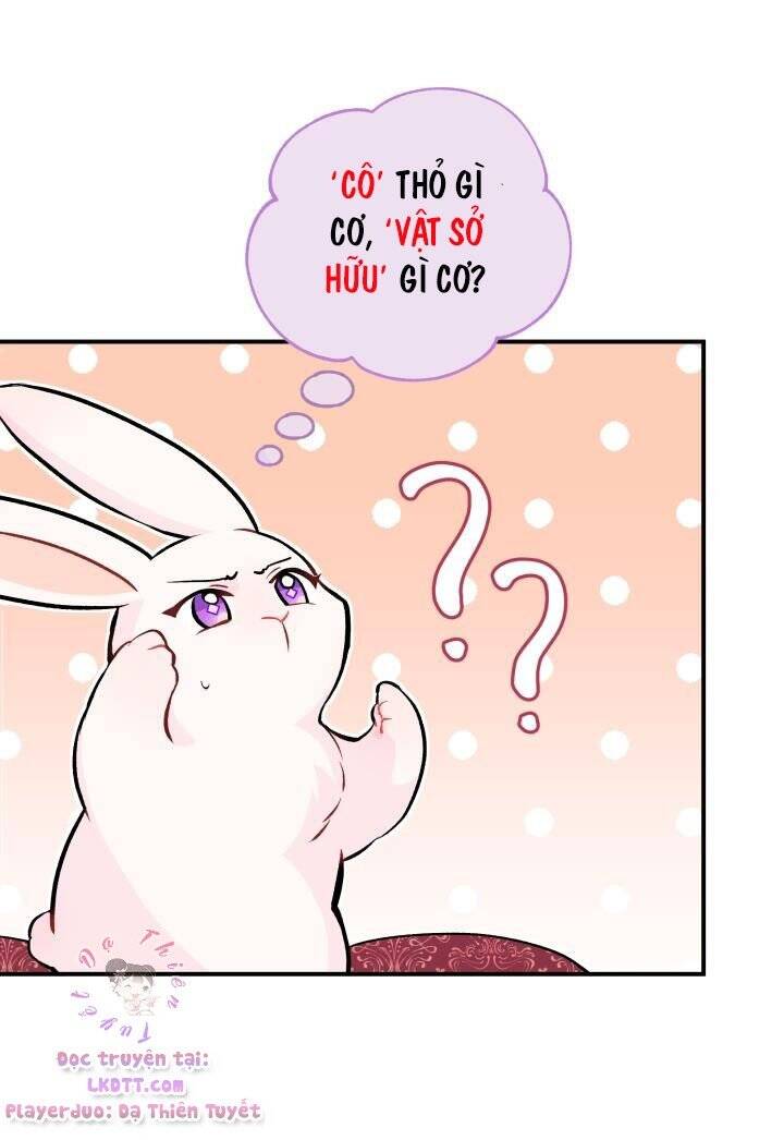 Mối Quan Hệ Cộng Sinh Giữa Báo Đen Và Thỏ Trắng - Chap 2 - Trang 27