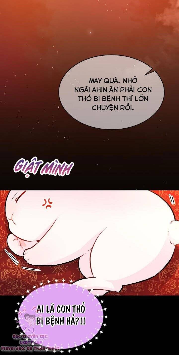 Mối Quan Hệ Cộng Sinh Giữa Báo Đen Và Thỏ Trắng - Chap 2 - Trang 35