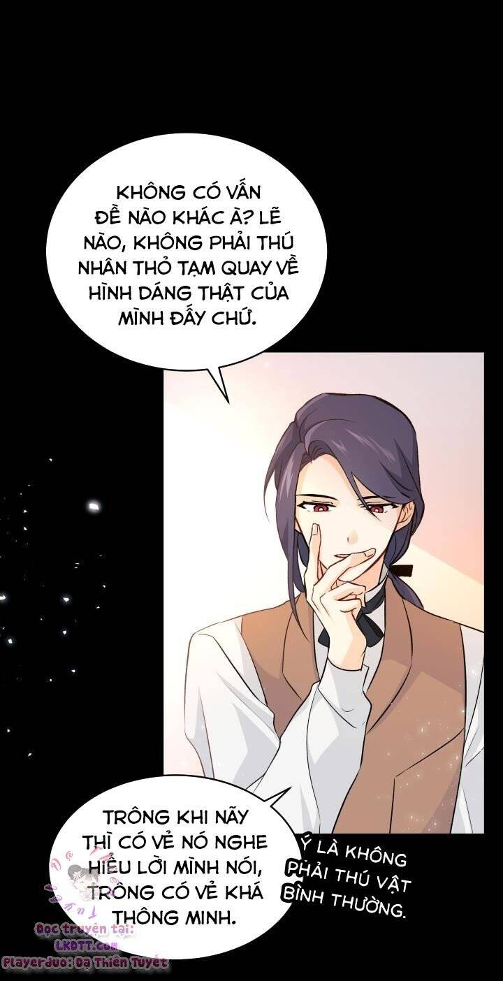 Mối Quan Hệ Cộng Sinh Giữa Báo Đen Và Thỏ Trắng - Chap 2 - Trang 36