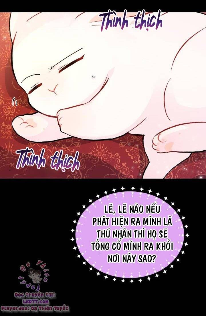 Mối Quan Hệ Cộng Sinh Giữa Báo Đen Và Thỏ Trắng - Chap 2 - Trang 40