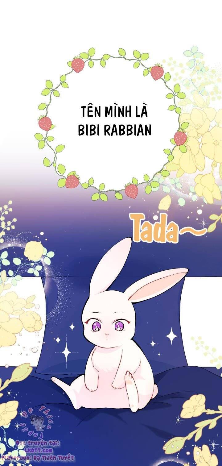 Mối Quan Hệ Cộng Sinh Giữa Báo Đen Và Thỏ Trắng - Chap 2 - Trang 5
