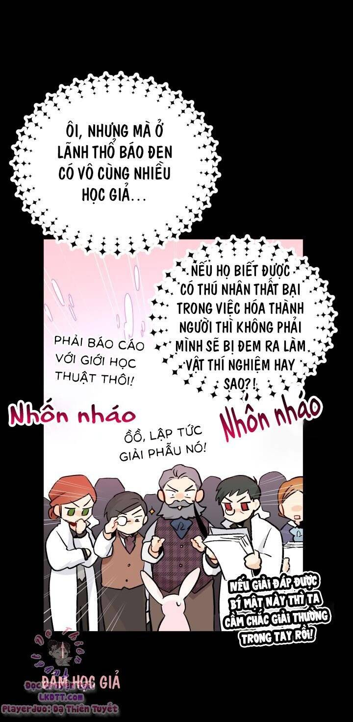 Mối Quan Hệ Cộng Sinh Giữa Báo Đen Và Thỏ Trắng - Chap 2 - Trang 41