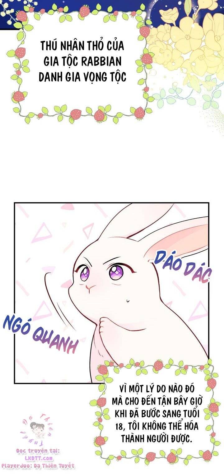 Mối Quan Hệ Cộng Sinh Giữa Báo Đen Và Thỏ Trắng - Chap 2 - Trang 6