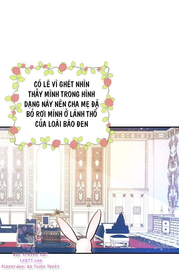 Mối Quan Hệ Cộng Sinh Giữa Báo Đen Và Thỏ Trắng - Chap 2 - Trang 7