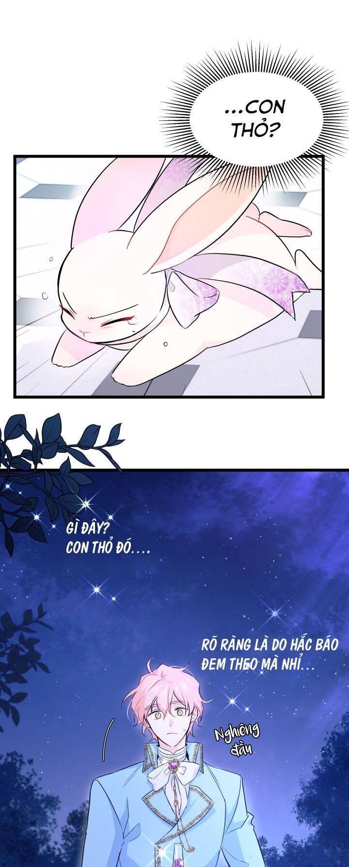 Mối Quan Hệ Cộng Sinh Giữa Báo Đen Và Thỏ Trắng - Chap 20 - Trang 9