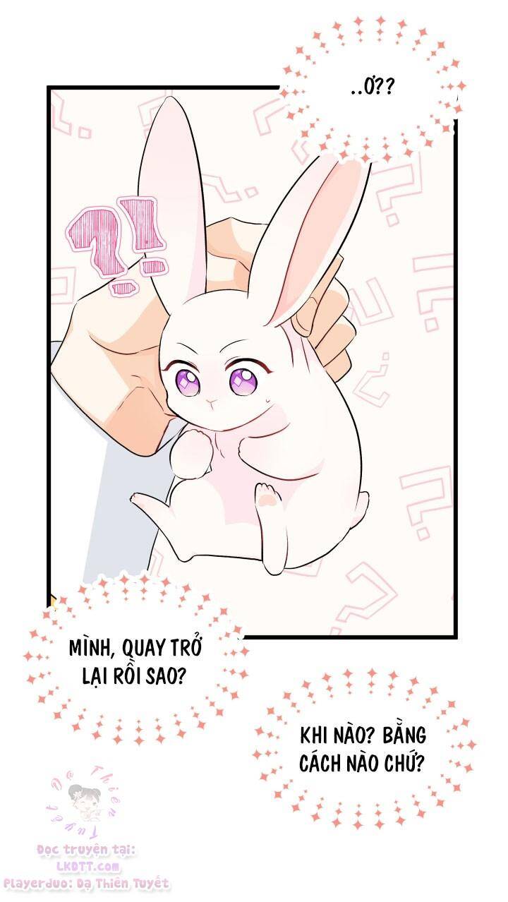 Mối Quan Hệ Cộng Sinh Giữa Báo Đen Và Thỏ Trắng - Chap 21 - Trang 19