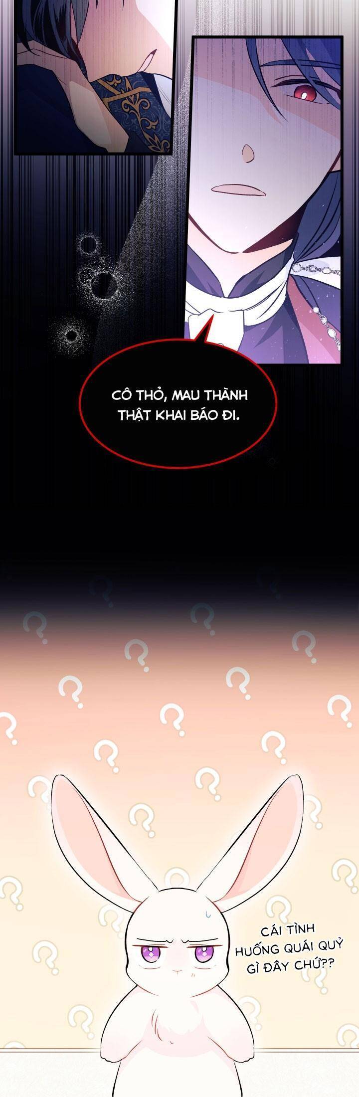 Mối Quan Hệ Cộng Sinh Giữa Báo Đen Và Thỏ Trắng - Chap 22 - Trang 11