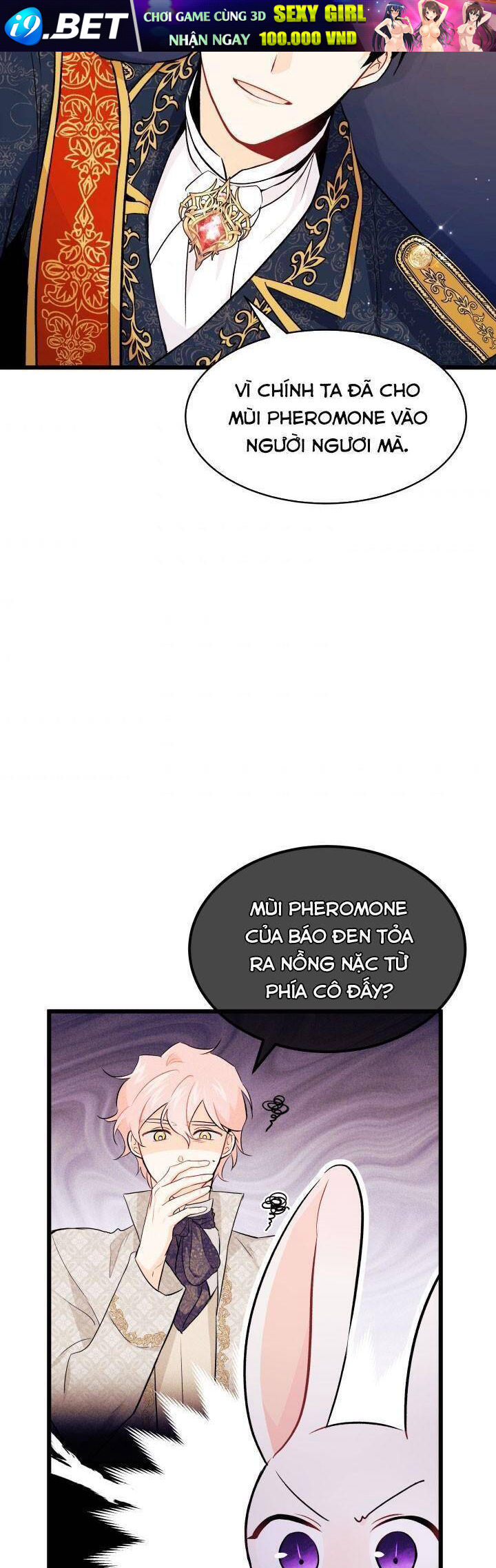 Mối Quan Hệ Cộng Sinh Giữa Báo Đen Và Thỏ Trắng - Chap 22 - Trang 21